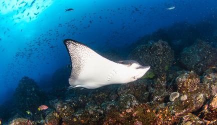 Similar image 21000446