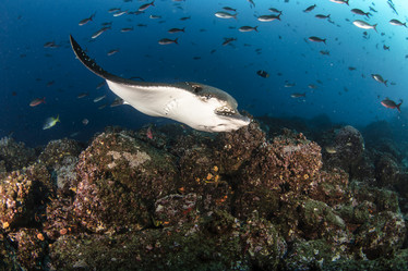 Similar image 21000447