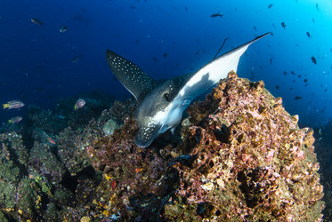 Similar image 21002533