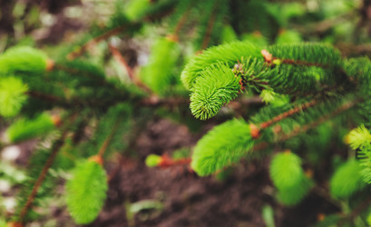 Similar image 21002535