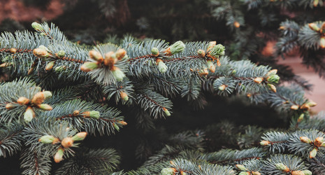 Similar image 21002538