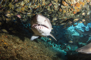 Similar image 21002540