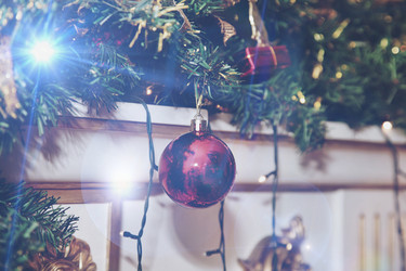 Similar image 21002541