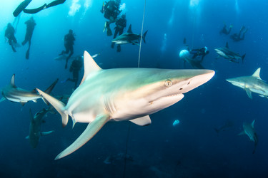 Similar image 21002542