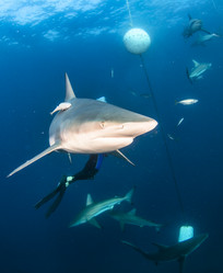 Similar image 21002543