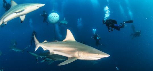 Similar image 21002546