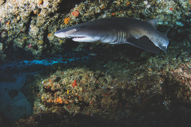 Similar image 21002549