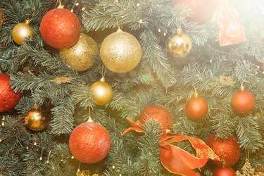 Similar image 21002551