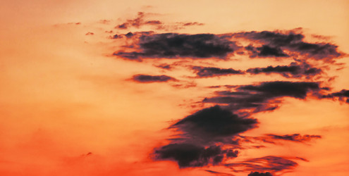 Similar image 21002764