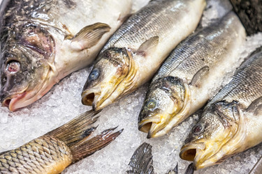 Similar image 21002765