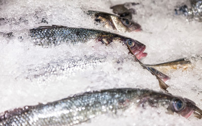 Similar image 21002766