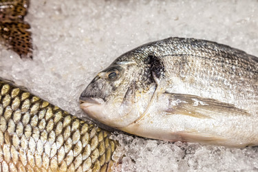 Similar image 21002767