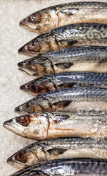 Similar image 21002915