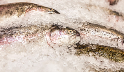 Similar image 21002916