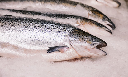 Similar image 21002919