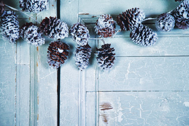 Similar image 21002944