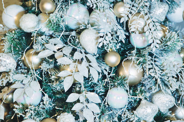 Similar image 21002946