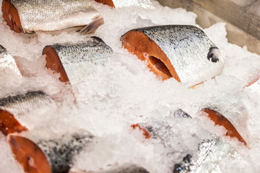 Similar image 21000450