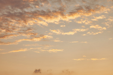 Similar image 21000456