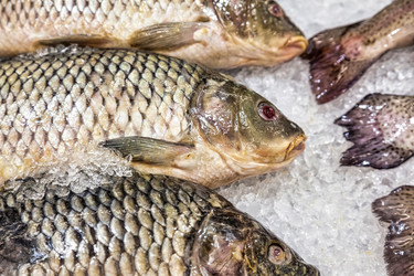 Similar image 21000461