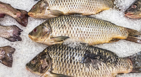 Similar image 21000462