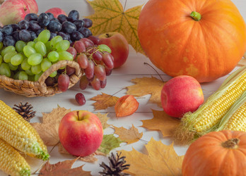 Similar image 20994995