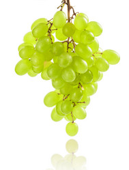 Similar image 20995003