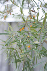 Similar image 20995042