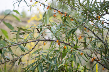 Similar image 20995046