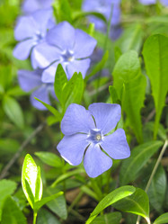 Similar image 20994845