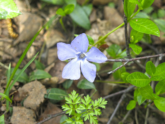 Similar image 20994846