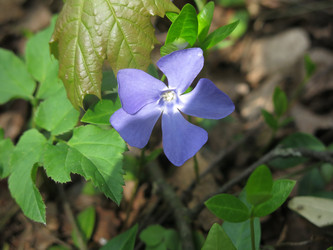 Similar image 20994847