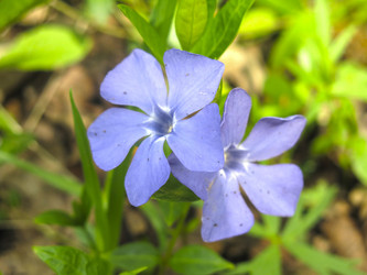 Similar image 20994848