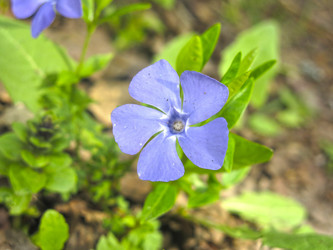 Similar image 20994849