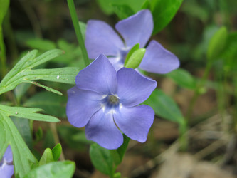 Similar image 20994851