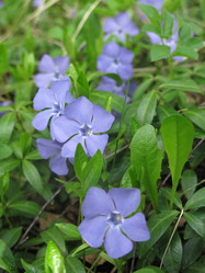 Similar image 20994852