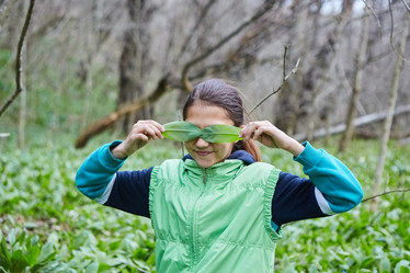 Similar image 21013997