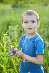 Similar image 21013998