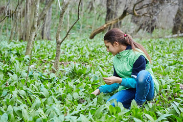 Similar image 21014002