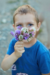 Similar image 21014003