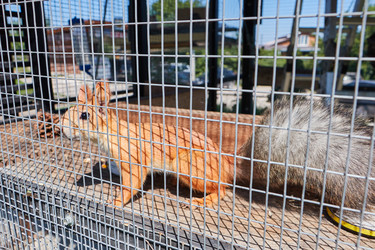 Similar image 20996831