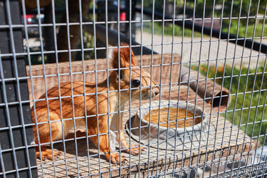 Similar image 20996832