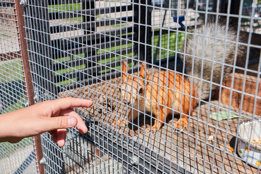 Similar image 20996833