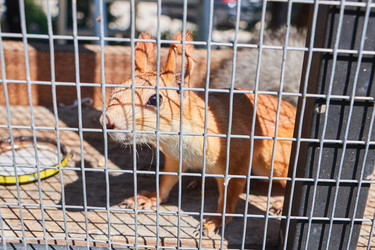 Similar image 20996834