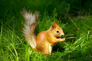 Similar image 21003038