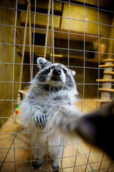 Similar image 21003039