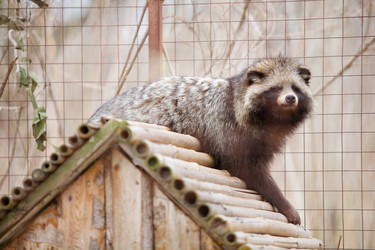 Similar image 21003065