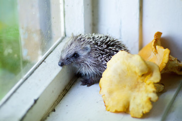 Similar image 21003067