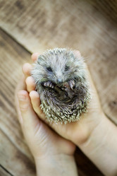 Similar image 21003187