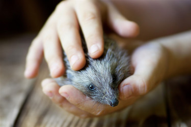 Similar image 21003363